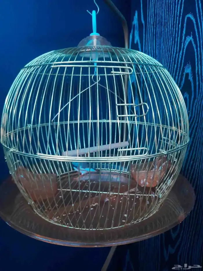 قفص عصفور بي 135 ريال 0