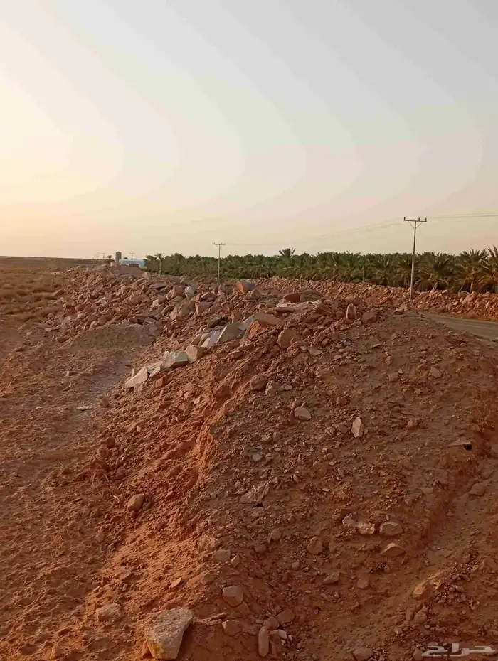 بوكلين لحفر النخيل والشبك وتسوية الأرضي 3