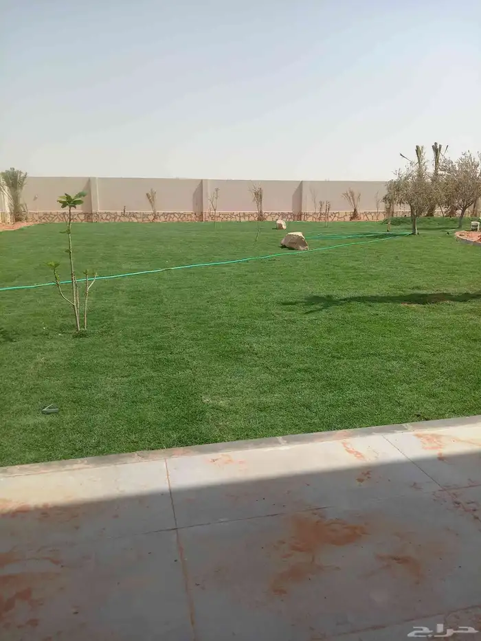 تيل طبيعي 5