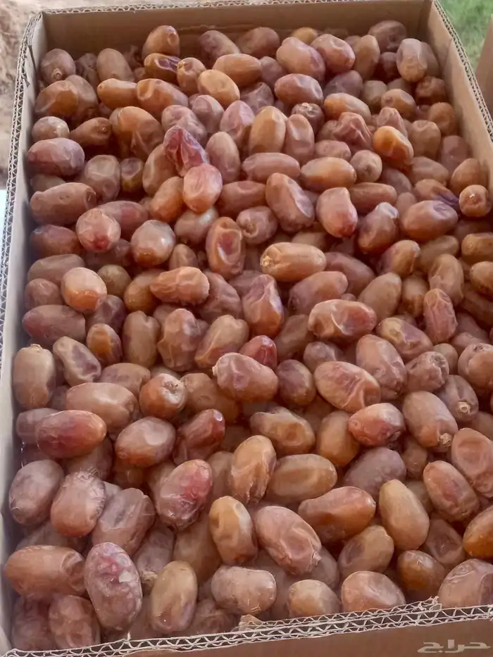 السلام عليكم ورحمة الله وبركاتة 1