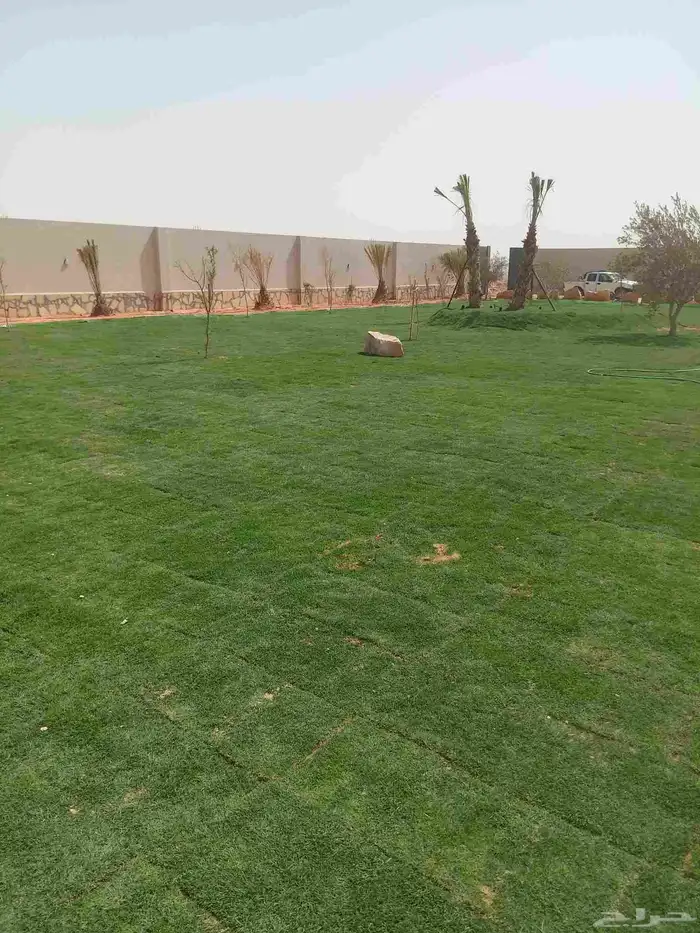 تيل طبيعي 3