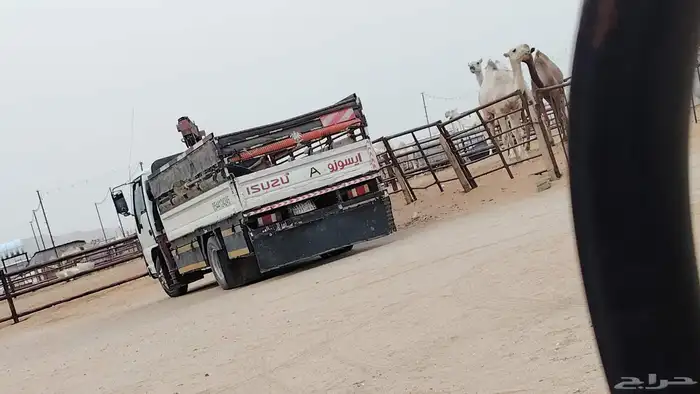مشاوير أبل   وعندنا حلاق أبل حلاقه مزاين أبل 0