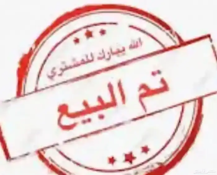 نعاج خلفات. 0