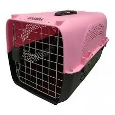 مندوب توصيل قطط من الرياض الى الدمام والخبر و الاحساء 0