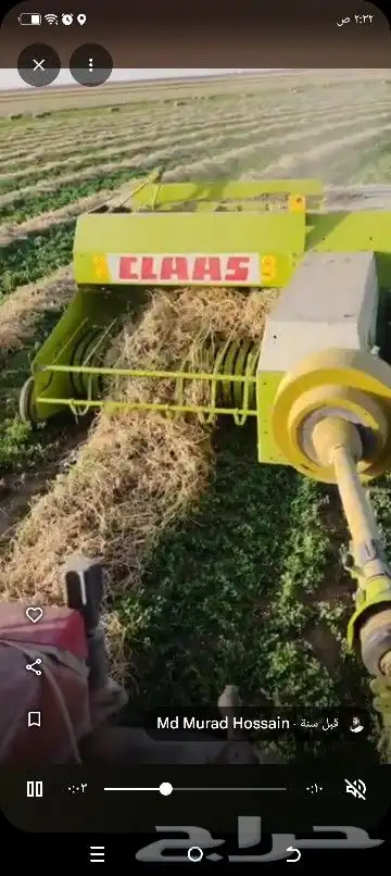 مطلوب شريك في مزرعه برسيم حجازي لمده سنه ميت فدان جاهز على ا 3