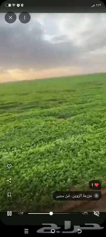 مطلوب شريك يدفع 100 000 مسترد بعد شهر في مزرعه برسيم حجازي 3