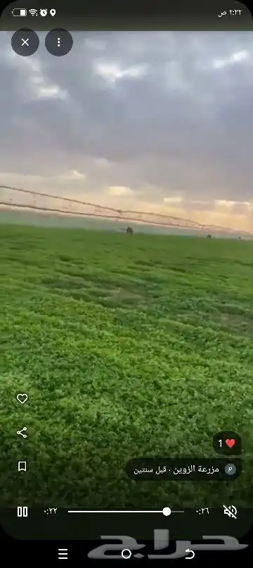 مطلوب شريك في مزرعه برسيم حجازي لمده سنه ميت فدان جاهز على ا 1