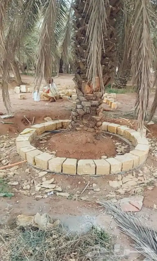 أعمال تراثية قديمة بجميع انواعها 5