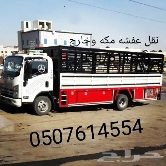 دينا مشاوير مكه داخل وخارج 0