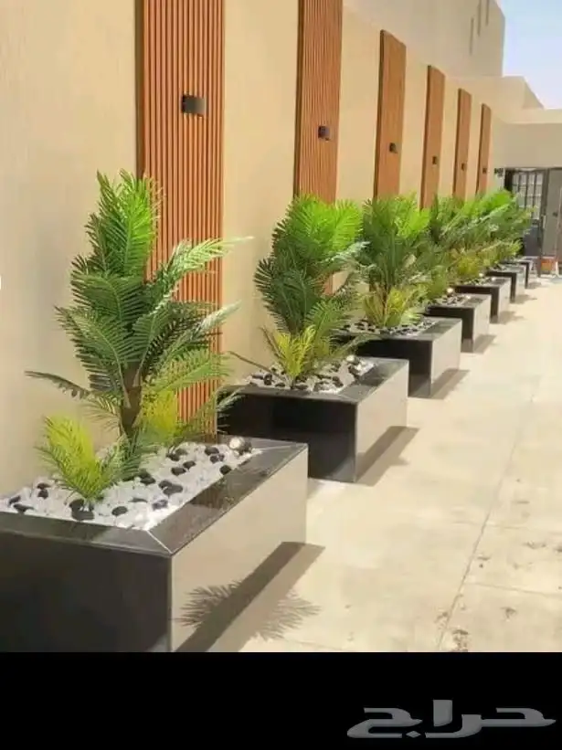 تنسيق حدائق جازان 5