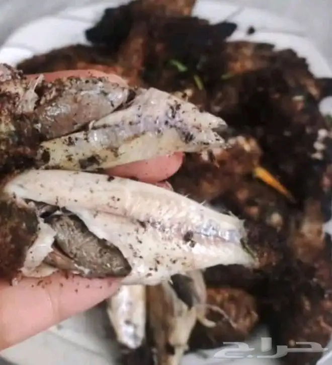 اسعار السمك مستوي   سمك بلطي بليمي مبطرخ ماكريل 5