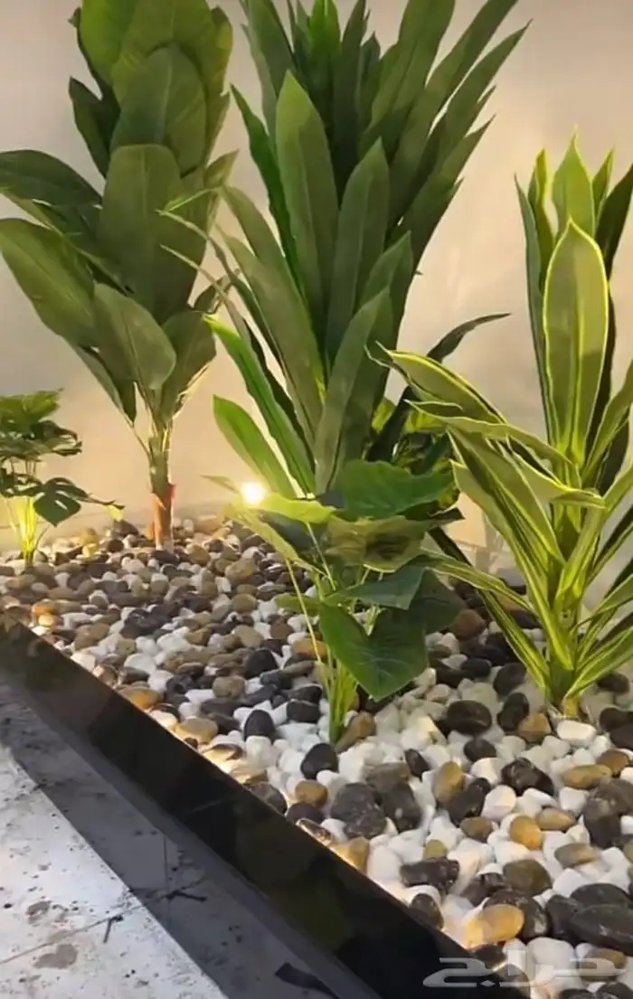 تنسيق حدائق جازان 2