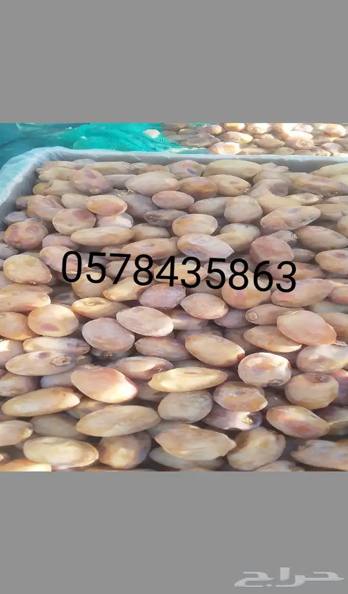 خلاص فاخر حبه جامبو 0