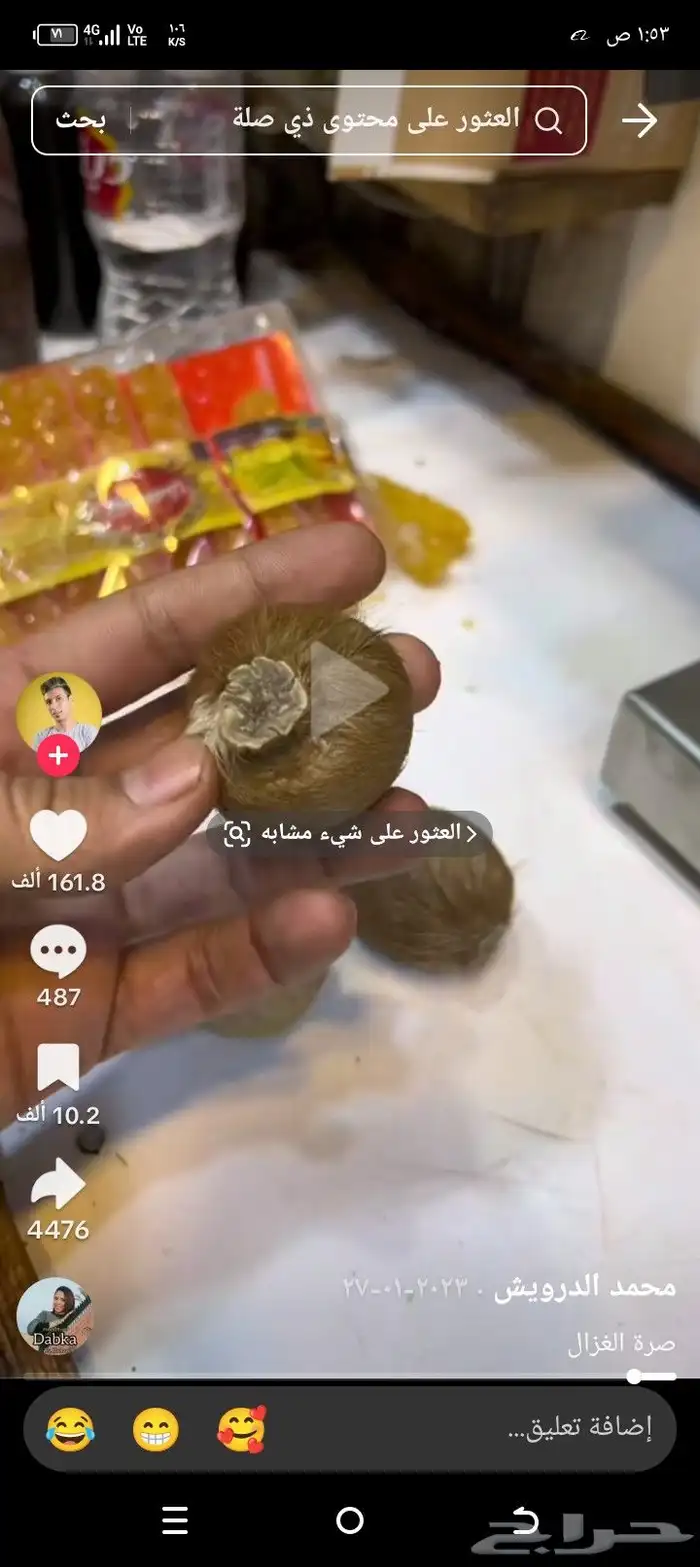 مسك الغزال 3