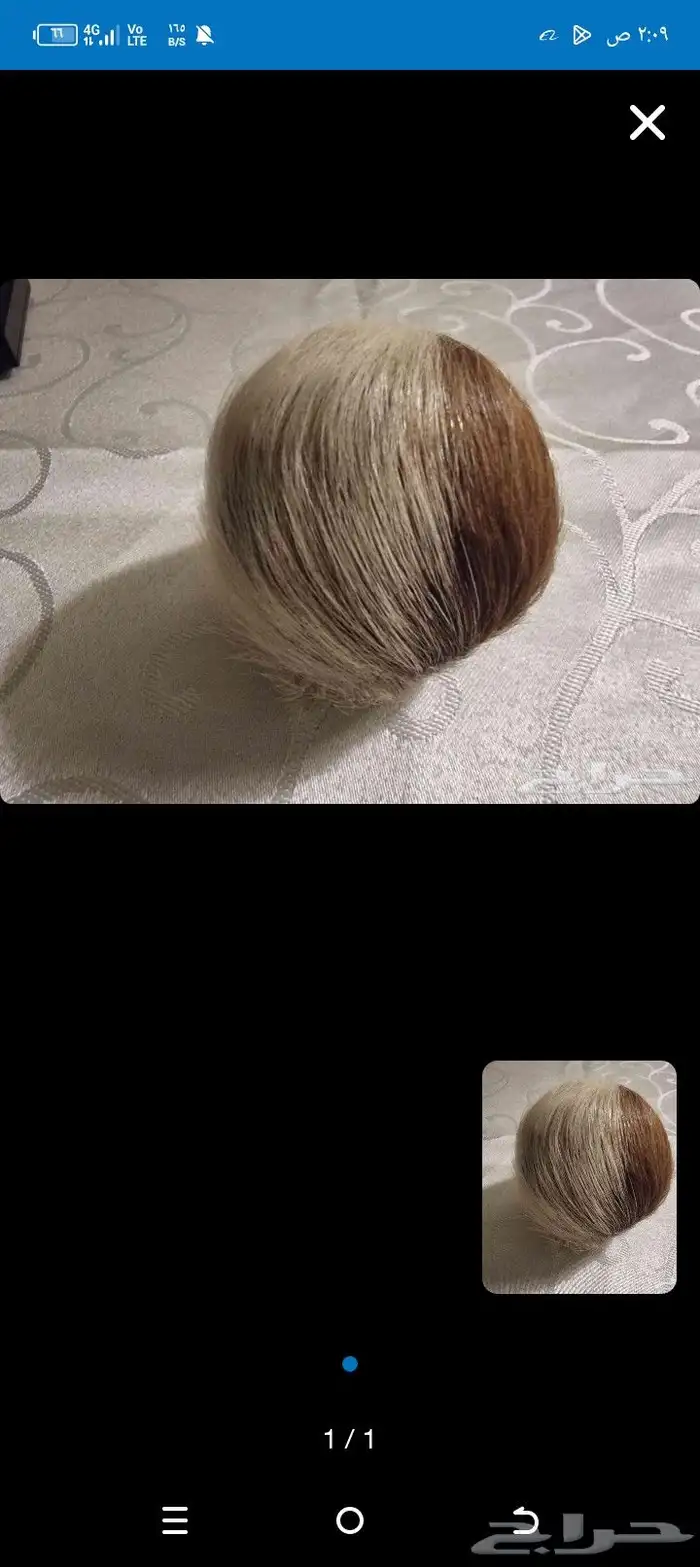 مسك الغزال 1