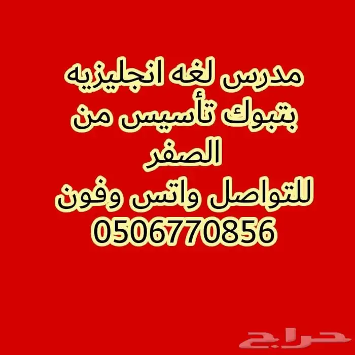 مدرس لغة انجليزية مصري تأسيس ومنهج جميع المراحل الدراسية 0