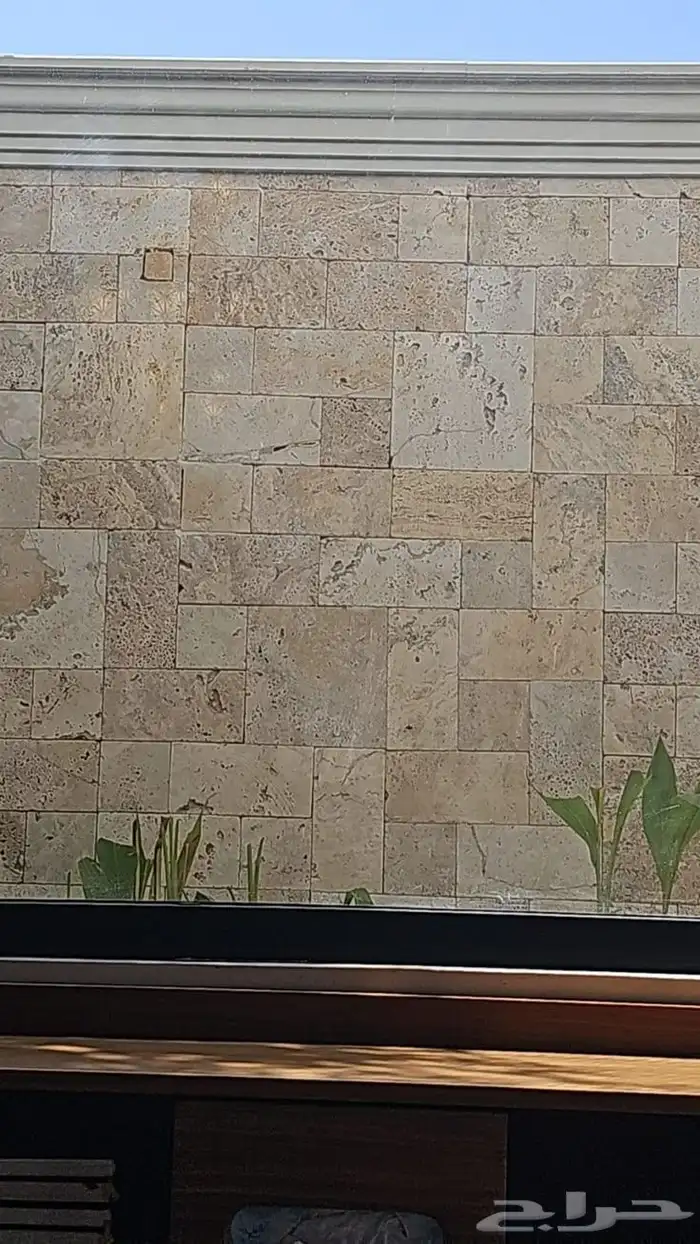 حجر ترفنتينو عشوائي 7