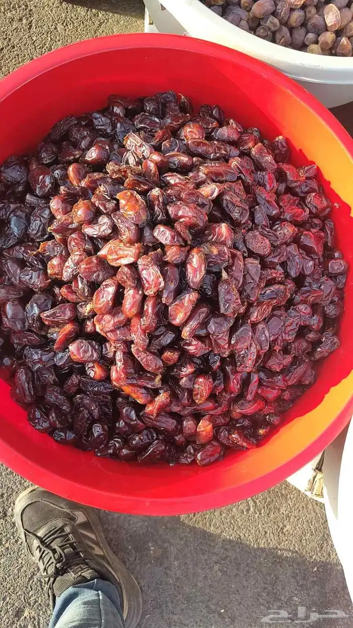 تمور حائل الفاخره 7