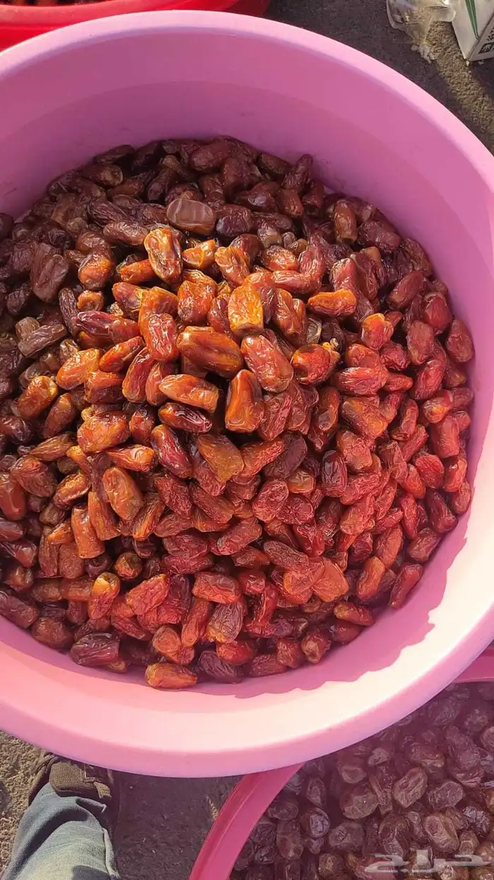 تمور حائل الفاخره 9