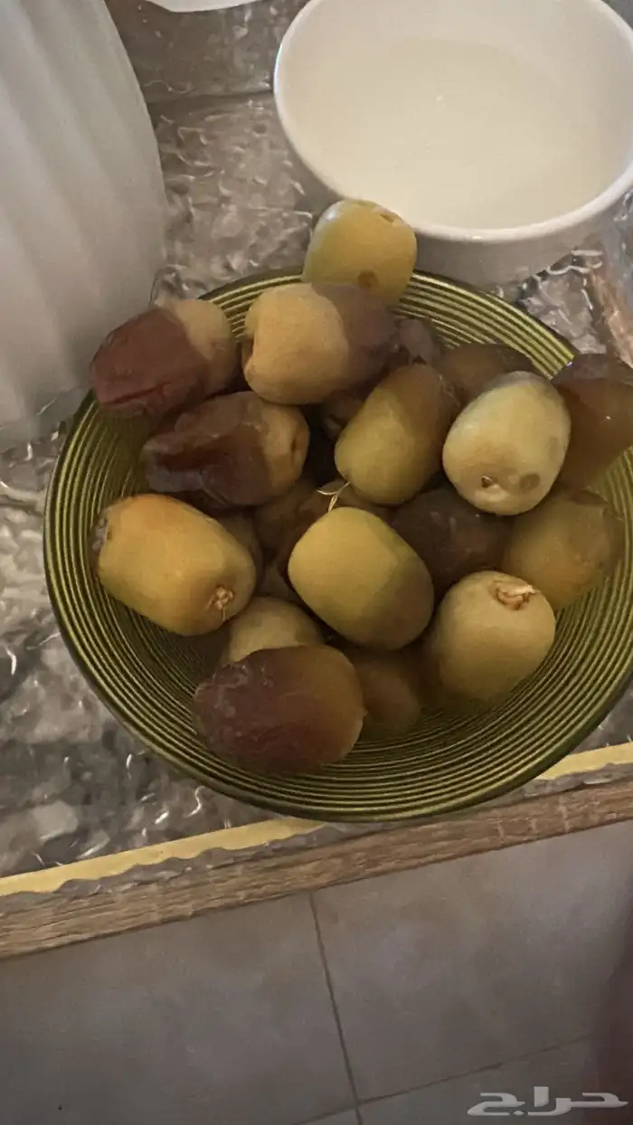 نخيل نوايع شمشوله حوشانه نبتت الحصان مصيفه 7