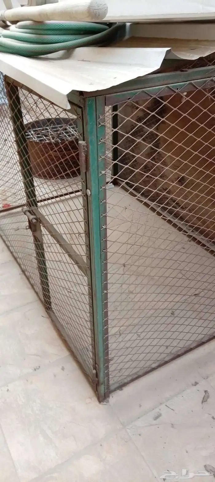 قفص طيور 7