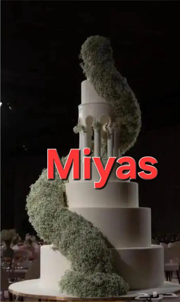 كيك فلين 1