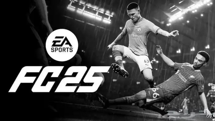 نهاية فيفا 25 FC 0