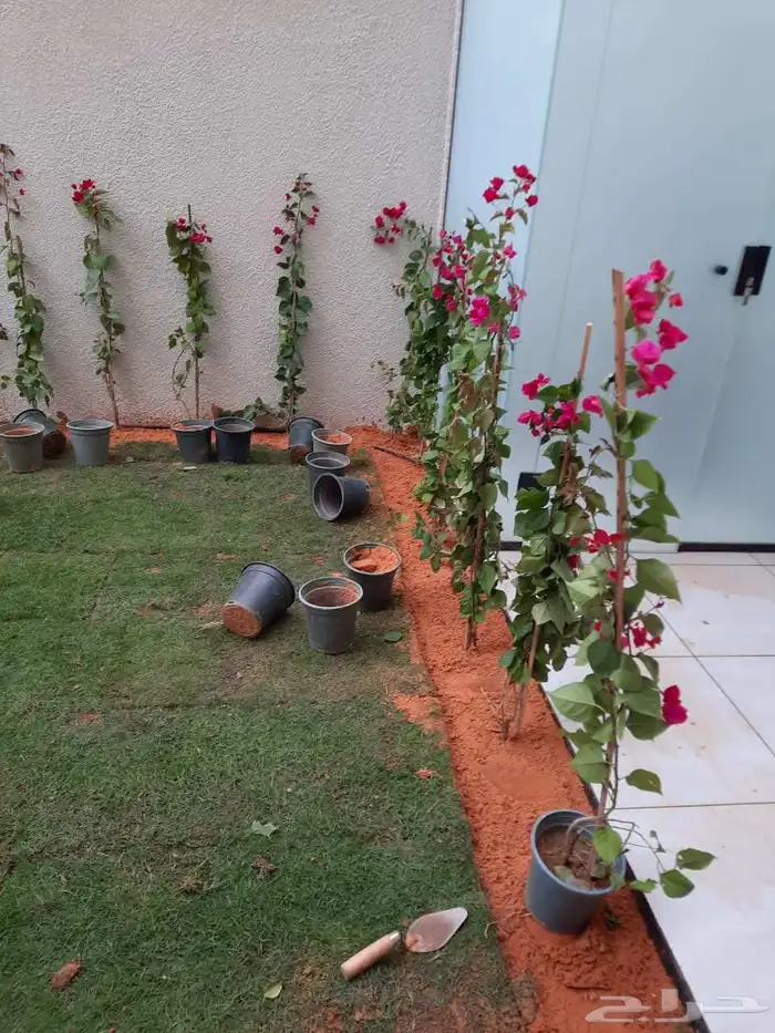 مشتل مشاتل 4