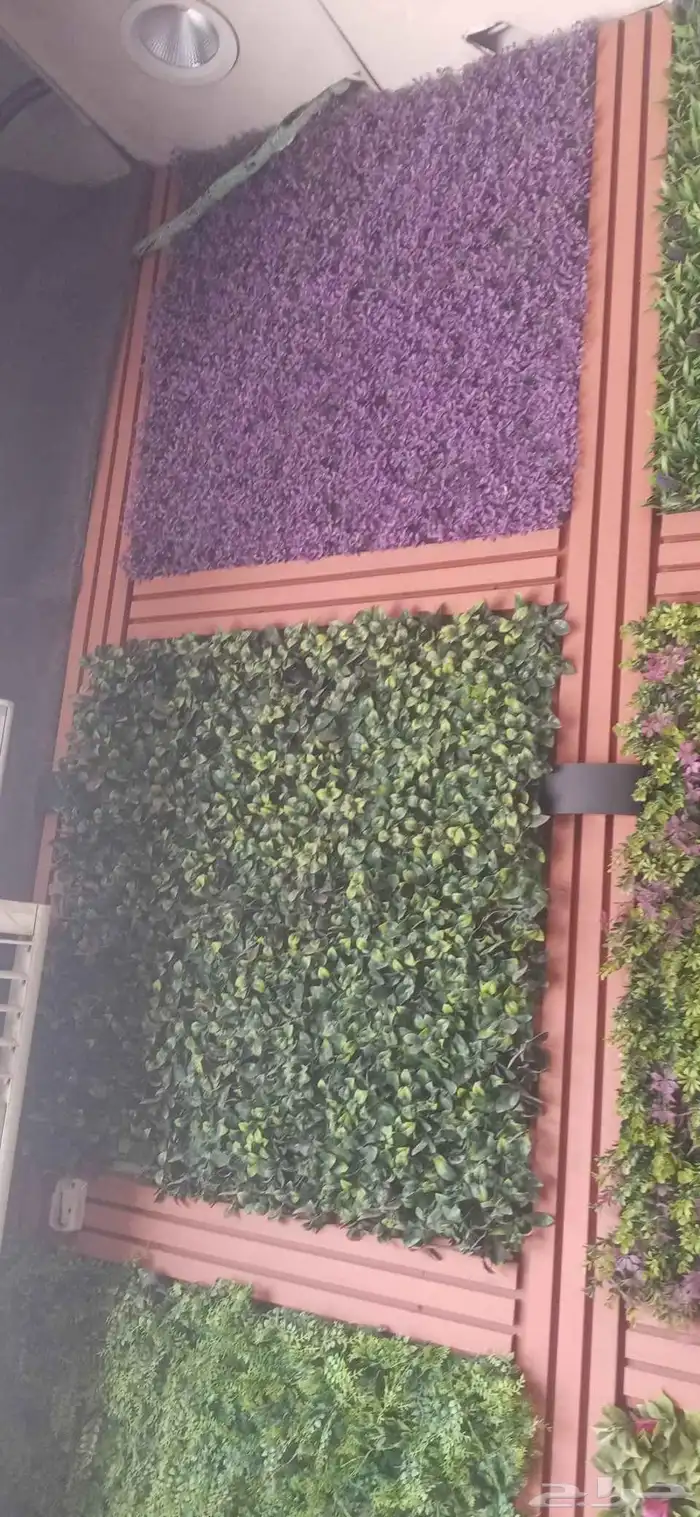 ديكور حاط ورد زراعي شلال حاط شلال أرضي للتواصل 3
