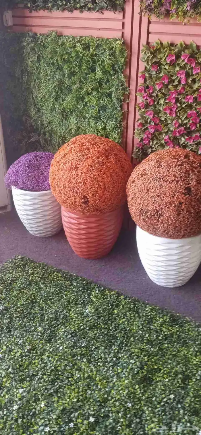 ديكور حاط ورد زراعي شلال حاط شلال أرضي للتواصل 5