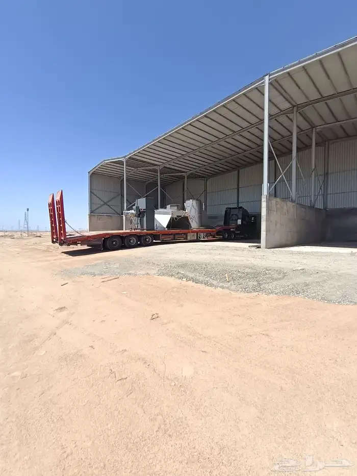 لوبد ضبا نيوام تبواك البداع حقل جبل اللوز 4