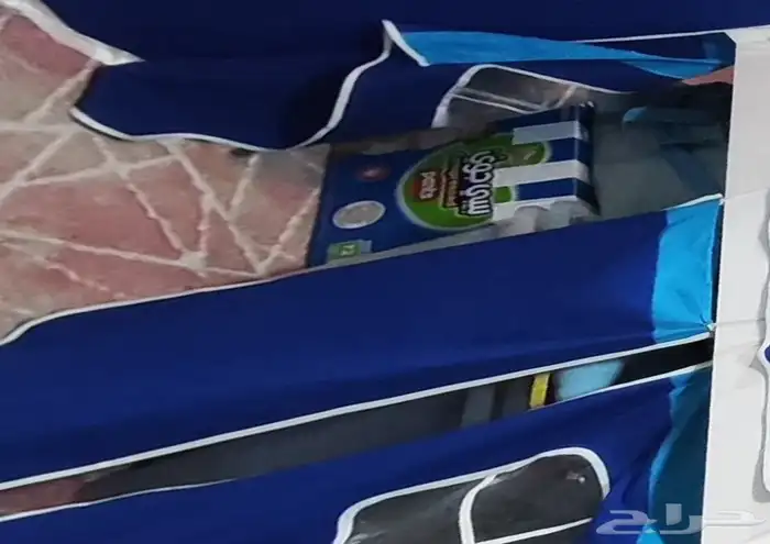 Elevated childrens bed with a ladder and slide 4