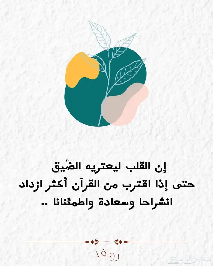 محفظ قرآن كريم بالقراءات العشر الصغري والكبري بالسند المتصل 2