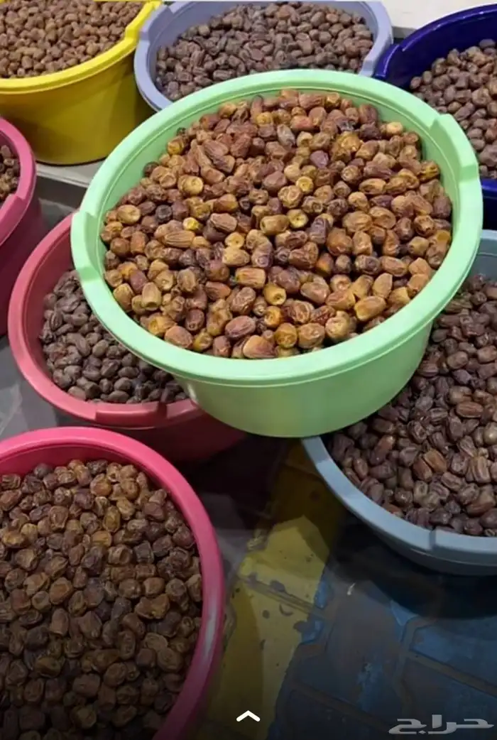 تمور حائل الفاخره 2