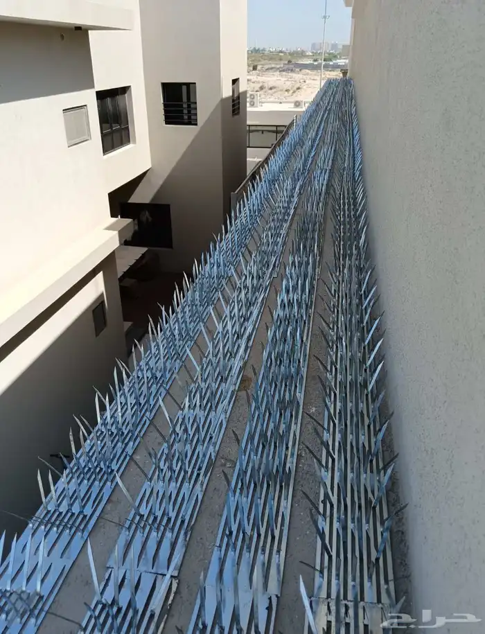شركة تركيب طارد الحمام بالدمام والخبر والظهران والقطيف 9