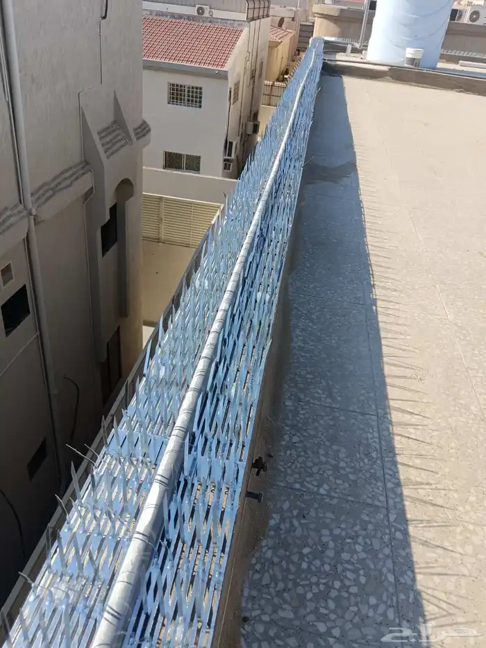 شركة تركيب طارد الحمام بالدمام والخبر والظهران والقطيف 5