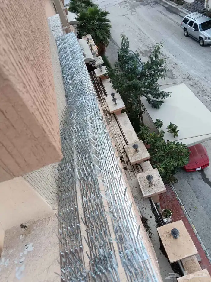 شركة تركيب طارد الحمام بالدمام والخبر والظهران والقطيف 1