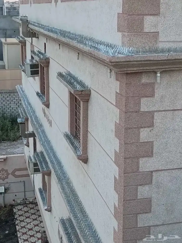 شركة تركيب طارد الحمام بالدمام والخبر والظهران والقطيف 8