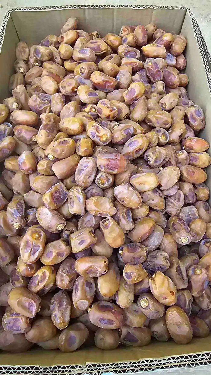تمر خلاص للبيع 1