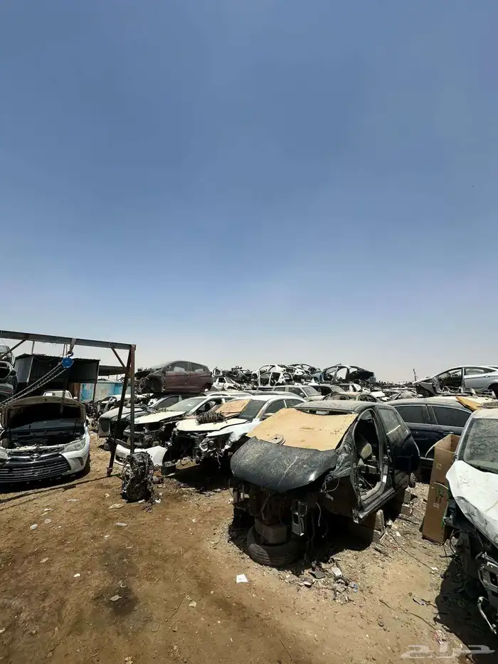 مندوب تشاليح 0