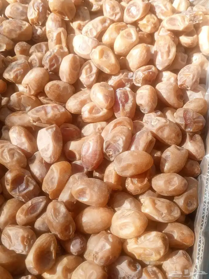 يوجد تمر خلاص 0