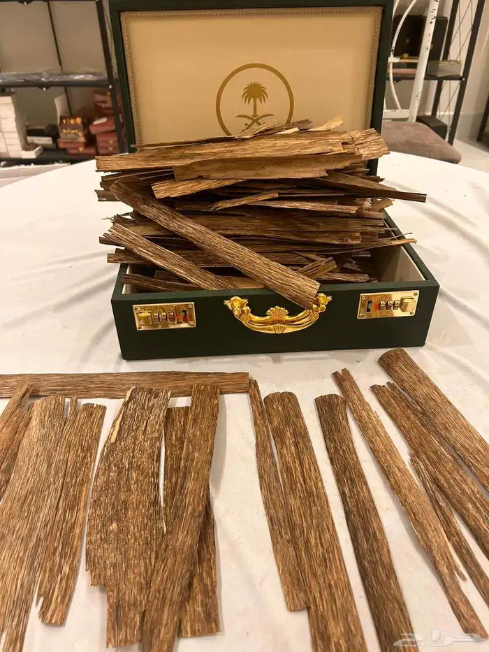 عرض اليوم الوطني عود طبيعي ومحسن 95 هلله 2
