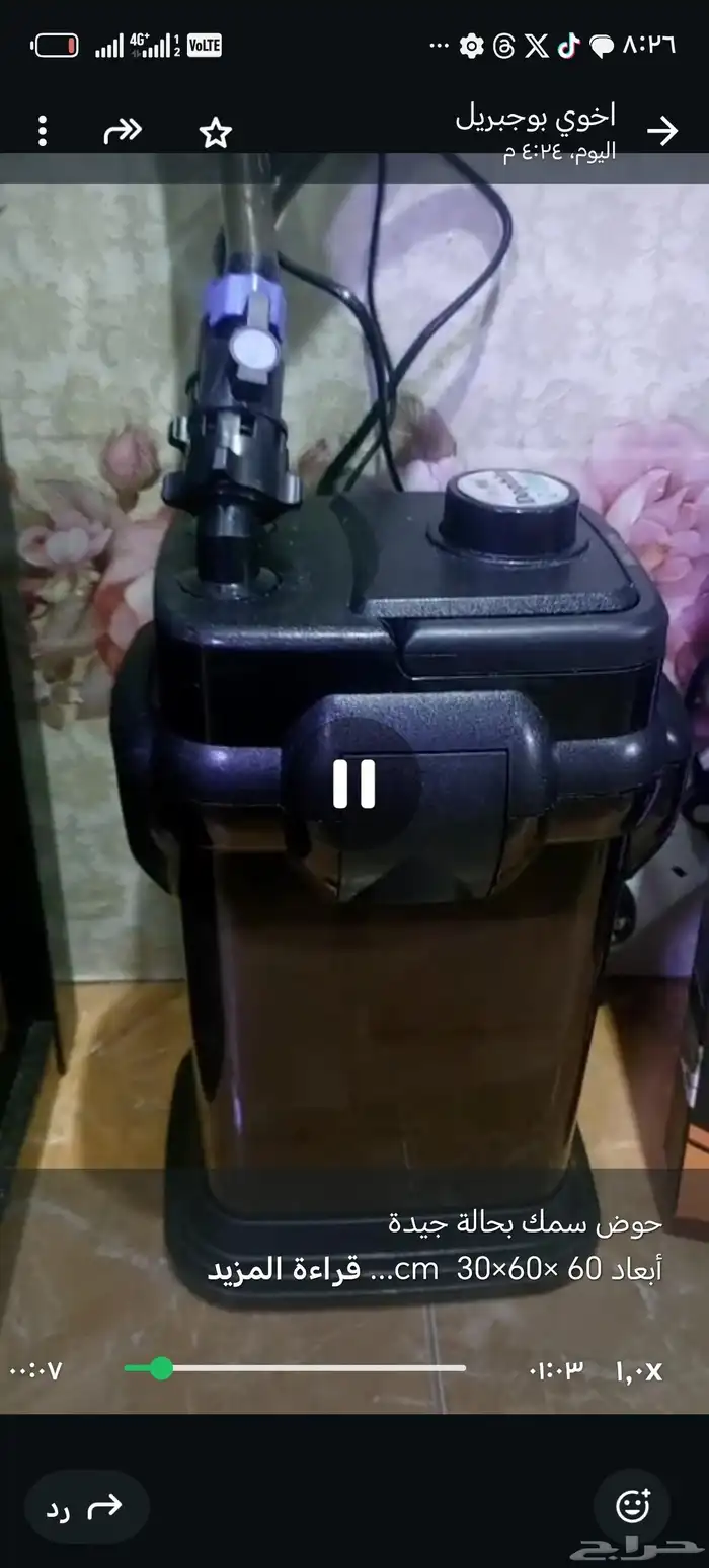 حوض أسماك 3