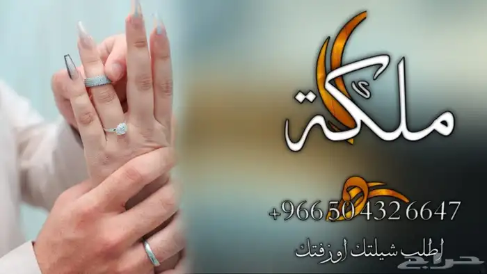 شيلة عرضة جنوبيه - شيلة مدح - شيلة ترحيب - شيلة عروس - شيلة 2