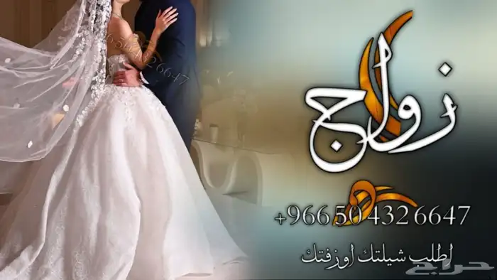 شيلة عرضة جنوبيه - شيلة مدح - شيلة ترحيب - شيلة عروس - شيلة 3