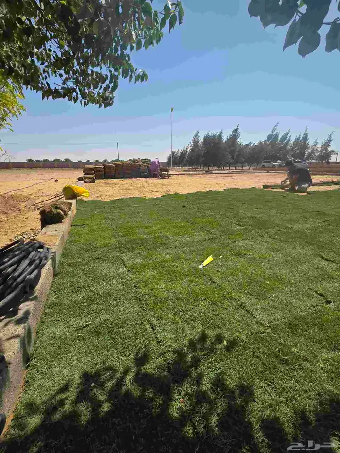 تيل طبيعى القصيم وبريدة 8