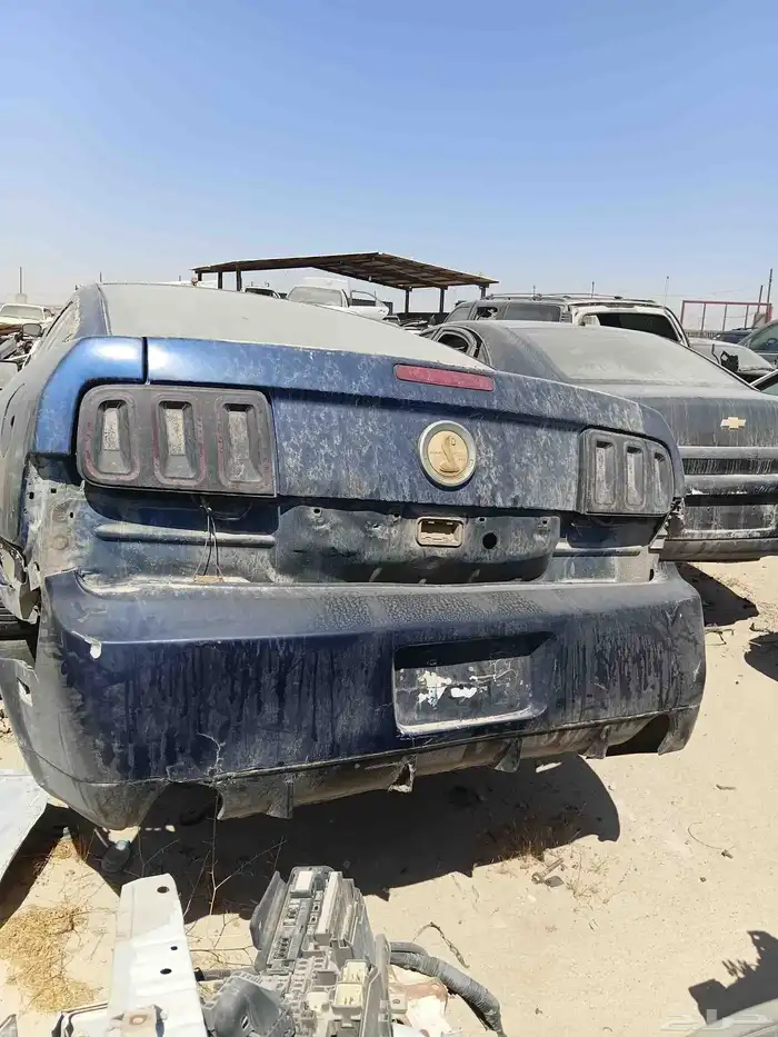 Mustang.ماكينه زمان واحد شهر.. 5