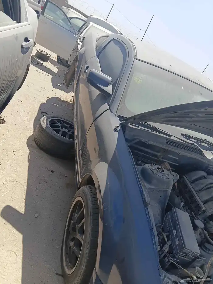 Mustang.ماكينه زمان واحد شهر.. 2