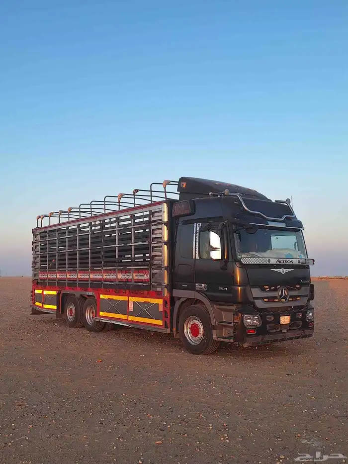 مسكس للبيع 6