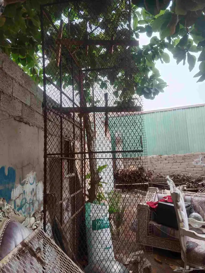 شبك حق الطيور ب 450 ريال 1